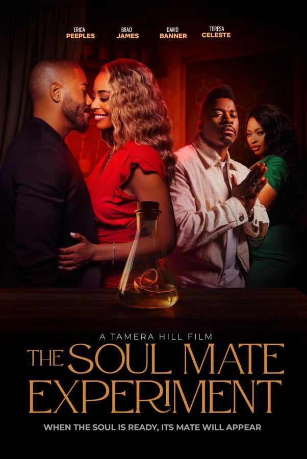 The Soul Mate Experiment poster